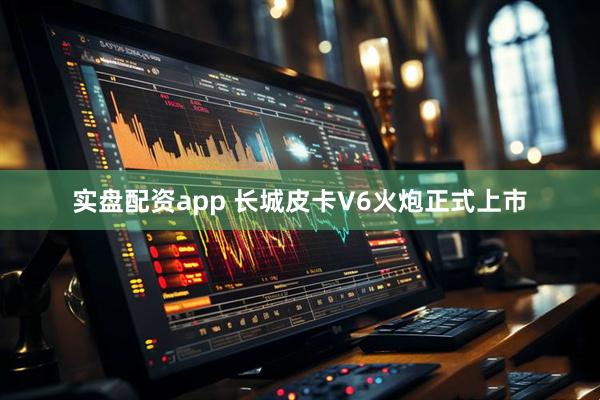 实盘配资app 长城皮卡V6火炮正式上市